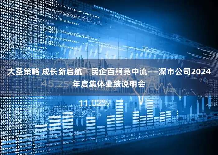 大圣策略 成长新启航・民企百舸竞中流——深市公司2024年度集体业绩说明会